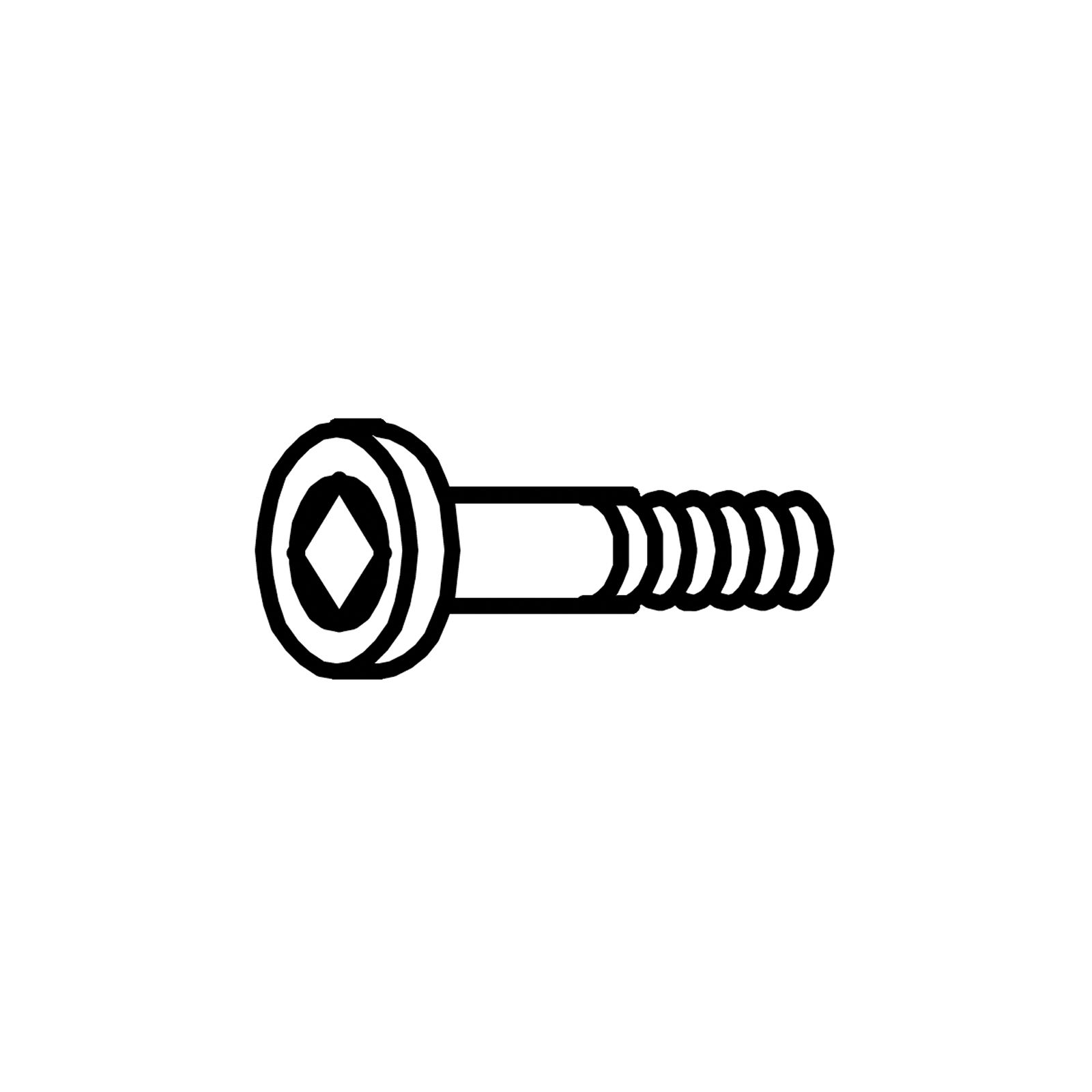 bolt